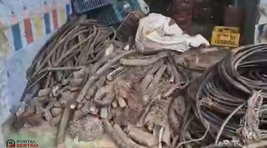 Quadrilha que usava máquina para extração clandestina de cobre faturava cerca de R$ 150 mil por mês, diz polícia