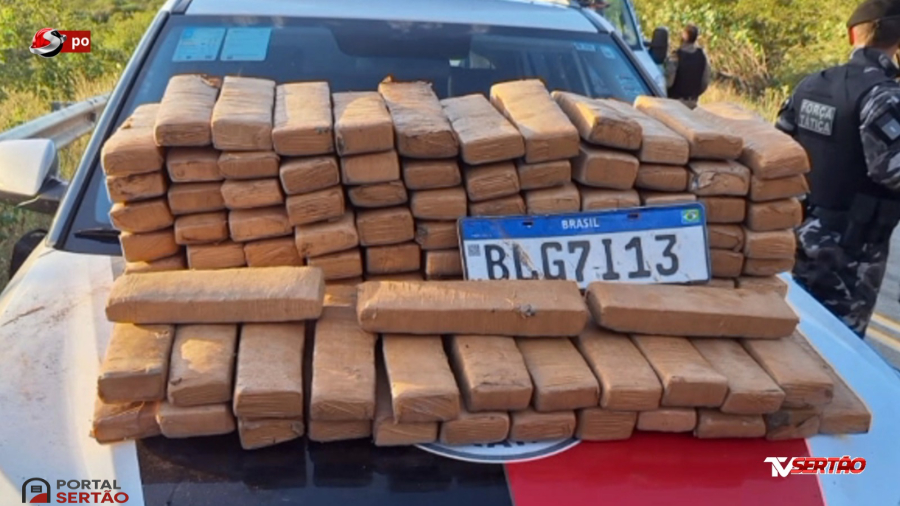 VÍDEO:  Caminhoneiro é preso com mais de 100 tabletes de maconha após acidente em Santana de Mangueira